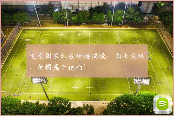 电竞国家队成绩榜揭晓,国士无双,荣耀属于他们!
